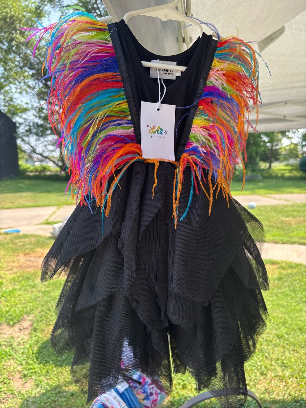 Lola + The Boys Black Tulle Dress with Rainbow Feather Shoulders 12-18 months